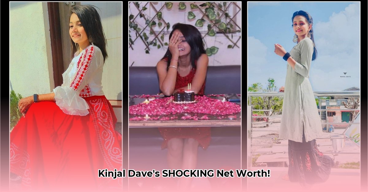 kinjal-dave-net-worth
